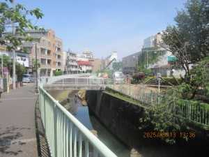 IMG_2881