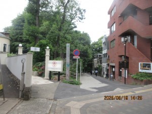 IMG_2903