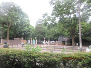 IMG_2905