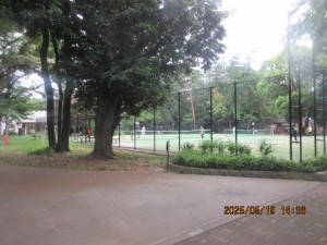 IMG_2910