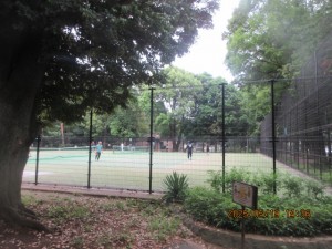 IMG_2911