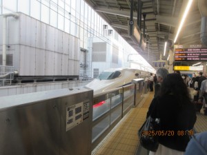 IMG_2921