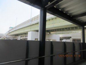IMG_2934