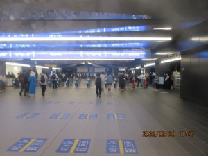 IMG_2936