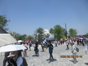 IMG_2950
