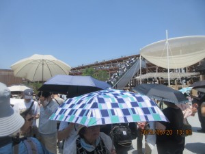 IMG_2955