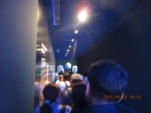 IMG_2975