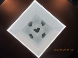 IMG_2978