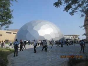 IMG_2983
