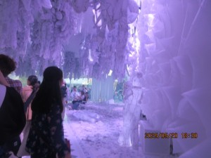 IMG_3065