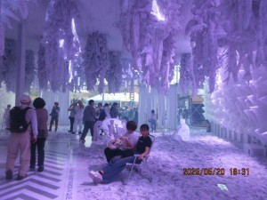 IMG_3066