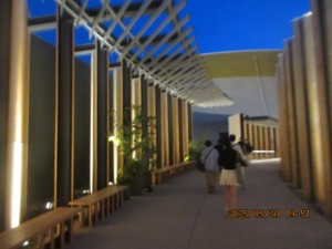 IMG_3110
