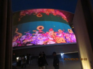 IMG_3111