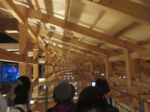 IMG_3122