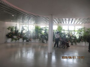IMG_3210