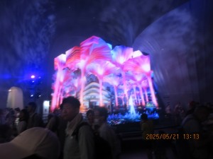 IMG_3250