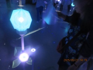 IMG_3266