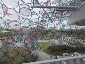 IMG_3272