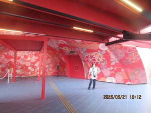 IMG_3281