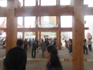IMG_3303