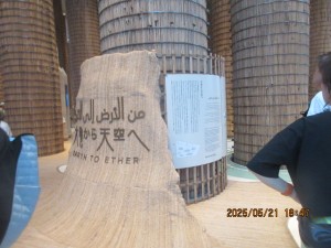 IMG_3329