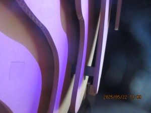 IMG_3359
