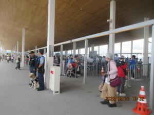 IMG_3452