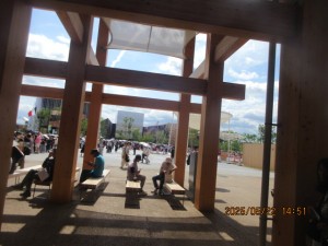 IMG_3477