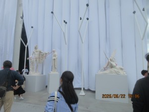 IMG_3490