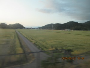 IMG_3534