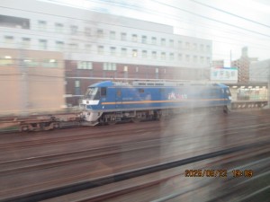 IMG_3541