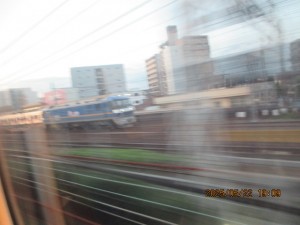 IMG_3542