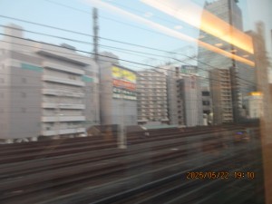 IMG_3543
