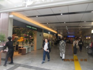 IMG_3560