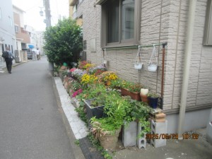 IMG_3562
