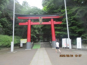 IMG_3566