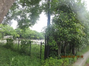 IMG_3569