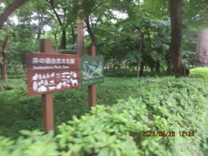 IMG_3590