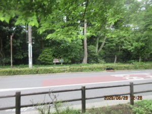 IMG_3592