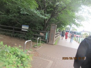 IMG_3593