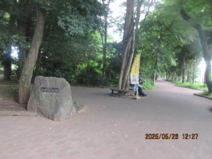 IMG_3594