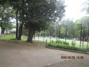 IMG_3595