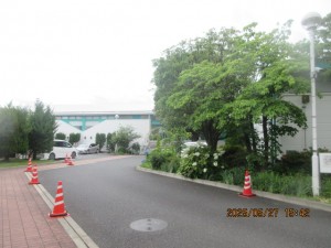 IMG_3608