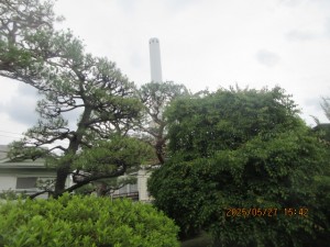IMG_3609
