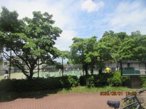 IMG_3676