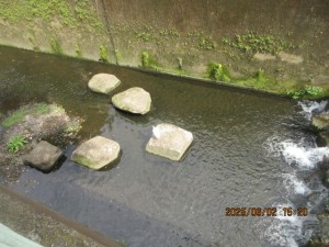 IMG_3697