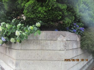 IMG_3772
