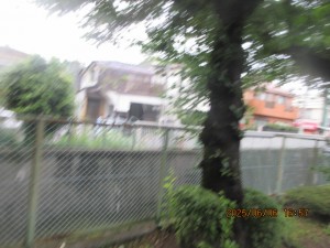IMG_3774