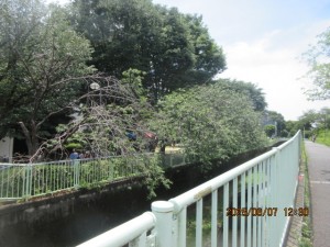 IMG_3776