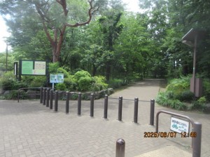 IMG_3782